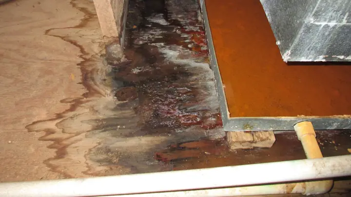 Buckled hardwood boards with dark staining after water exposure