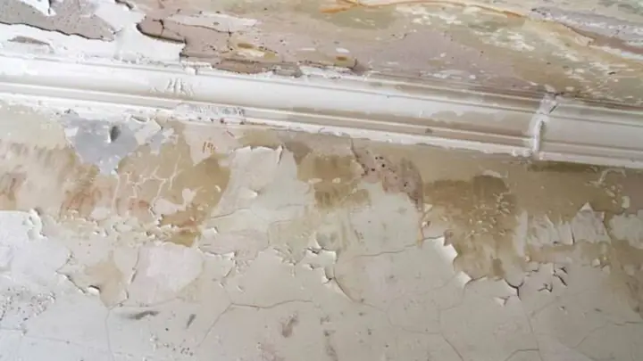 Peeling paint and stained plaster on a wall beneath crown molding